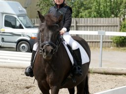 2012 Sommerturnering